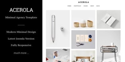 Acerola - Ultra Minimalist Agency