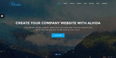 Alvida - One Page Business Template by themes_master