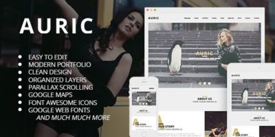 Auric - One Page Modern Muse Template by adr806