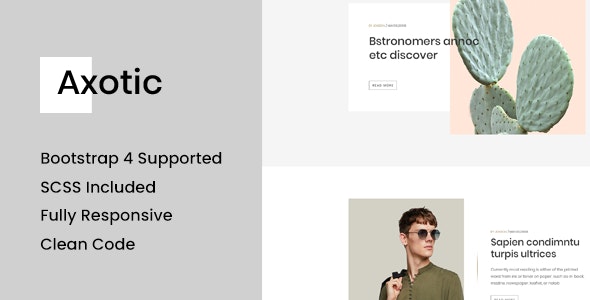 Axotic - Responsive Blog Site Template by themeix