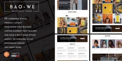 Baowe - Responsive One/Multi Page Portfolio WordPress Theme by ridianur