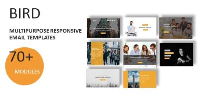 Bird - Multipurpose Responsive Email Template With Online StampReady Builder Access by fourdinos