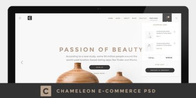 Chameleon Shop PSD Template by 3str