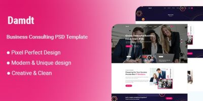 Damdt-Business Consulting PSD Template by Themomarket