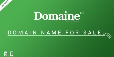 Domaine -  Responsive Domain For Sale Template by Primevel