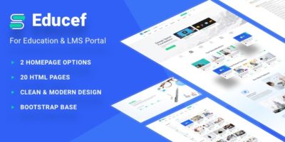 Educef - LMS HTML Template by TheRubikThemes