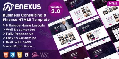 Enexus - Consulting Business by WebexTheme