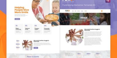 FDR - Fundraising Elementor Template Kit by doodlia