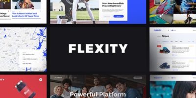 Flexity - Multi-Purpose PSD Template by Stockware
