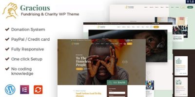 Gracious - Charity and Donation WordPress Theme by themebeer