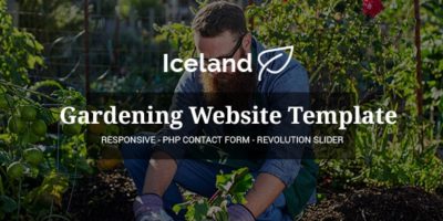 Iceland - Garden