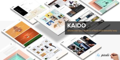 KAIDO - Multipurpose Adobe Muse Template by pixxli