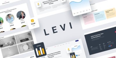 Levi - Digital Marketing Elementor Template Kit by YumnaStudio