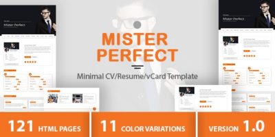 Mister Perfect - Minimal CV/Resume/vCard Template by DuezaThemes