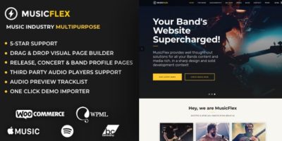MusicFlex - WordPress Theme for Musicians by plethorathemes