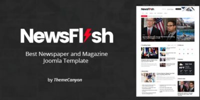 NewsFlash - Joomla News & Magazine Template by ThemeCanyon