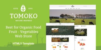 Organic Food/Fruit/Vegetables Responsive Web Store Template - Tomoko by comfythemes