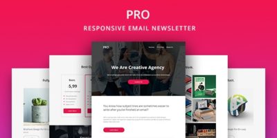 Pro - Agency Email Newsletter Template by yemail