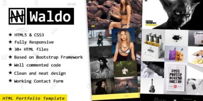 Waldo - Portfolio Showcase Website Template for Freelancers & Agencies by Themetorium