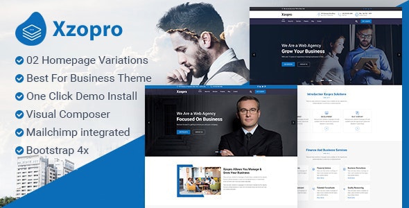 Xzopro - Finance And Business WordPress Theme by ThemeDraft